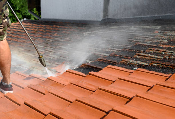 Best Roof Pressure Washing  in Salyersville, KY