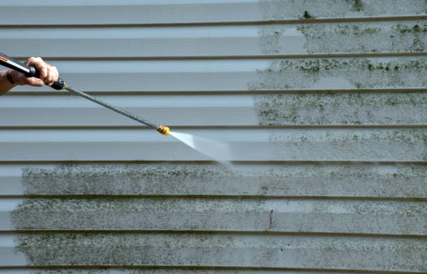 Best Sidewalk Pressure Washing  in Salyersville, KY