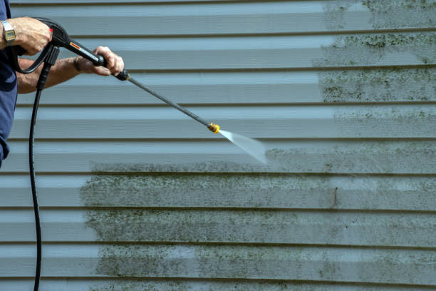 Best House Pressure Washing  in Salyersville, KY