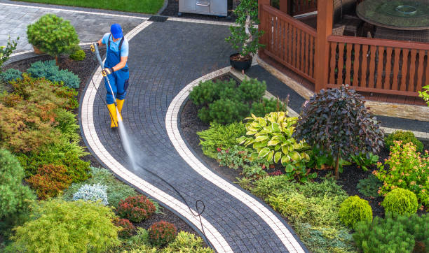 Best Pressure Washing Company Near Me  in Salyersville, KY